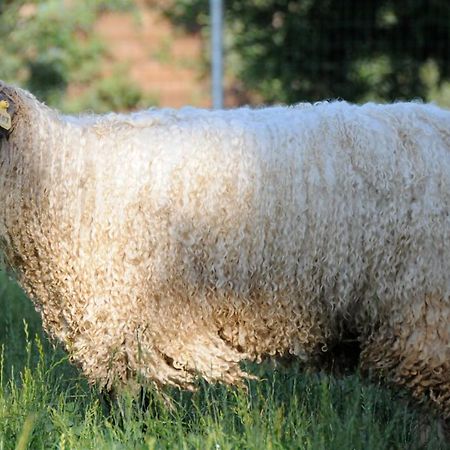Villa Wine Country Private Working Sheep Farm; Rustic Elegance Temecula Esterno foto
