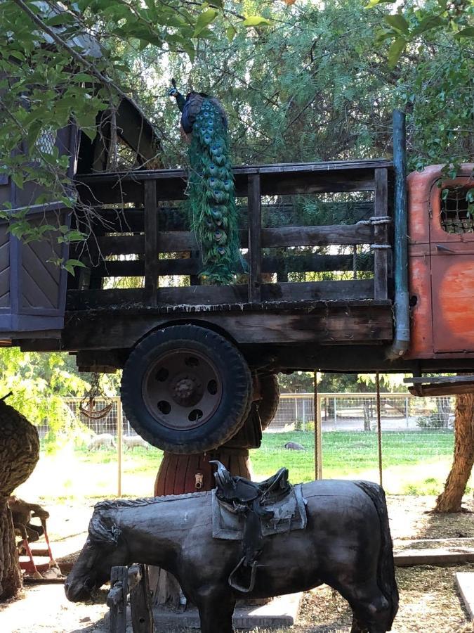 Villa Wine Country Private Working Sheep Farm; Rustic Elegance Temecula Esterno foto