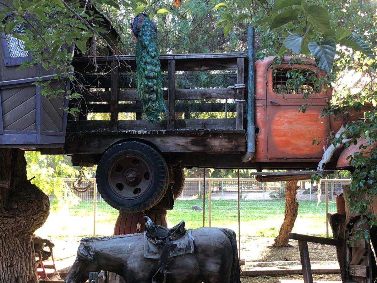 Villa Wine Country Private Working Sheep Farm; Rustic Elegance Temecula Esterno foto